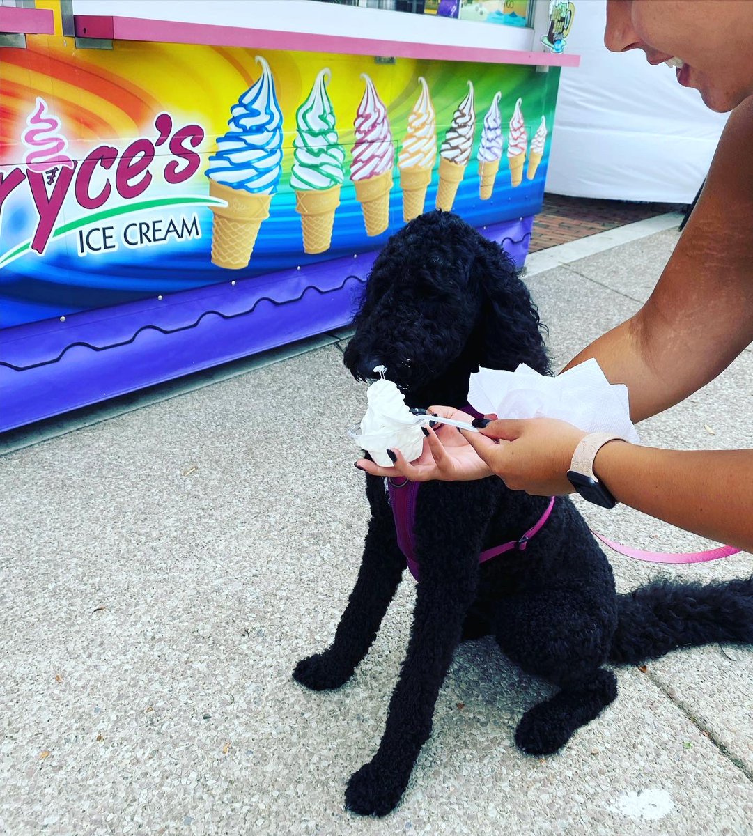 BrycesIceCream's tweet photo. Mondays are always great days for ice cream. 🍦

We’re open in three locations:
🔸Old Falls Street 12-10
🔸Buffalo Naval Park 11-9
🔸Canal Fest 12-10 https://t.co/G1KPd1eOFH