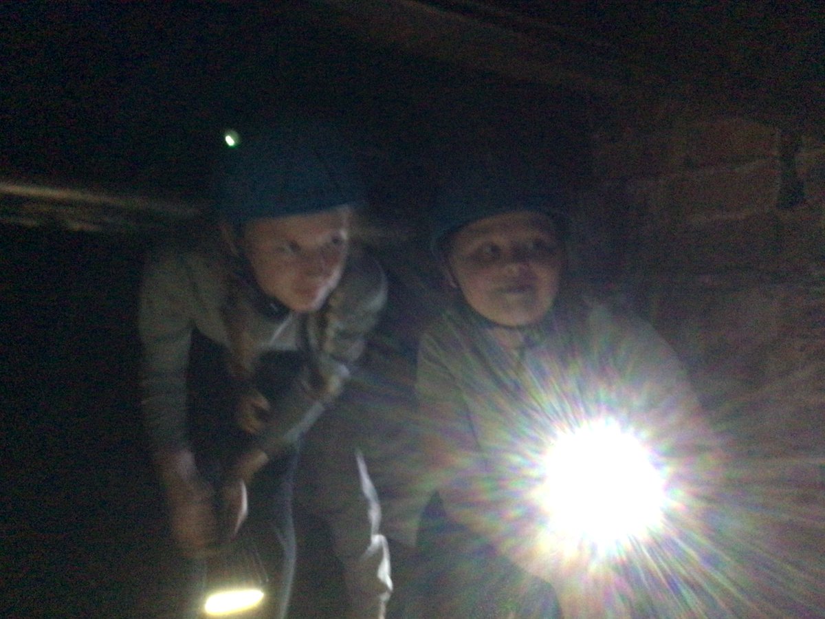 Albert Bradbeer tweet media