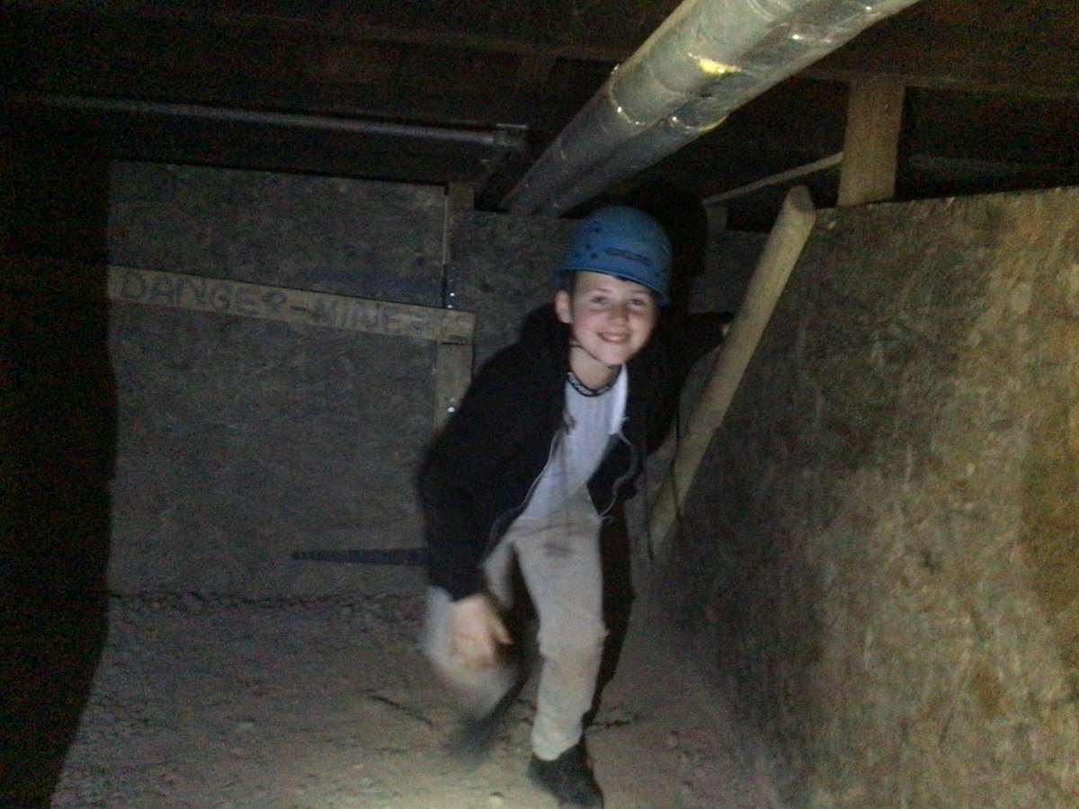 Albert Bradbeer tweet media