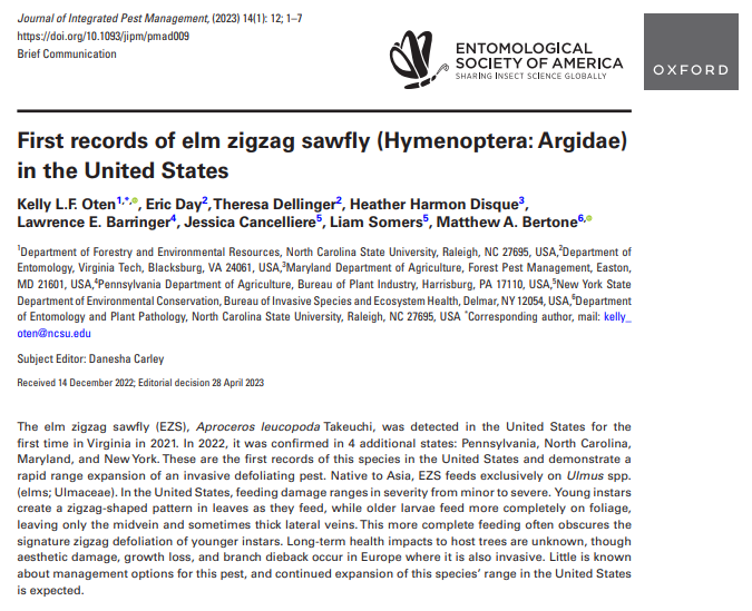 NCForestHealth's tweet photo. Check out our paper on the new #invasive elm zigzag sawfly, published last week in the Journal of Integrated Pest Management. It has a fascinating feeding pattern and is moving around quickly, found in 5 states in 2 years. https://t.co/urUSg2llAo https://t.co/EMtK7InOb3