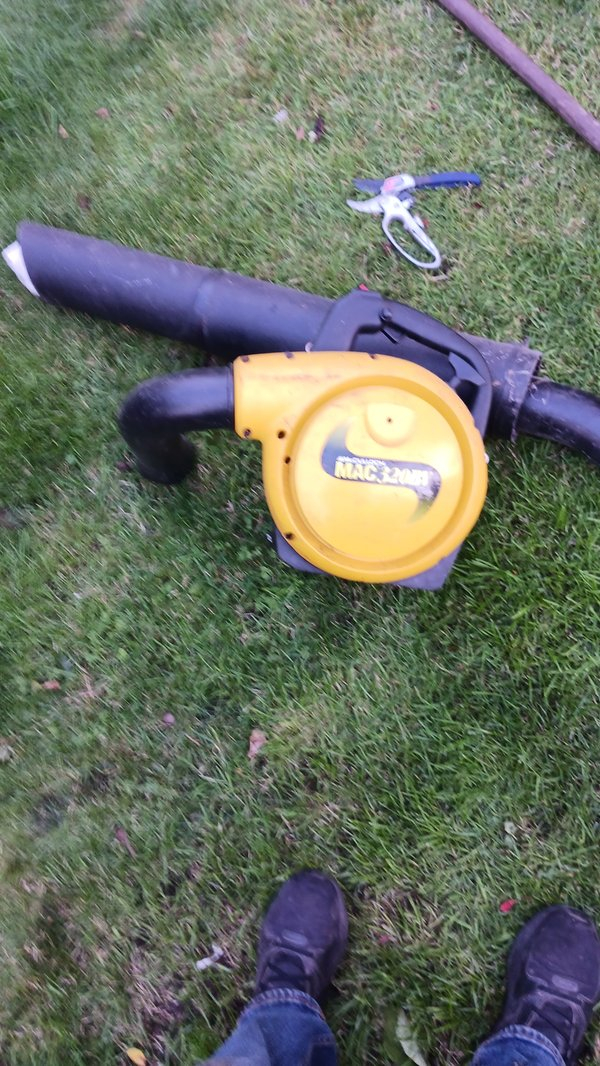 Lichfield Freeworld tweet media