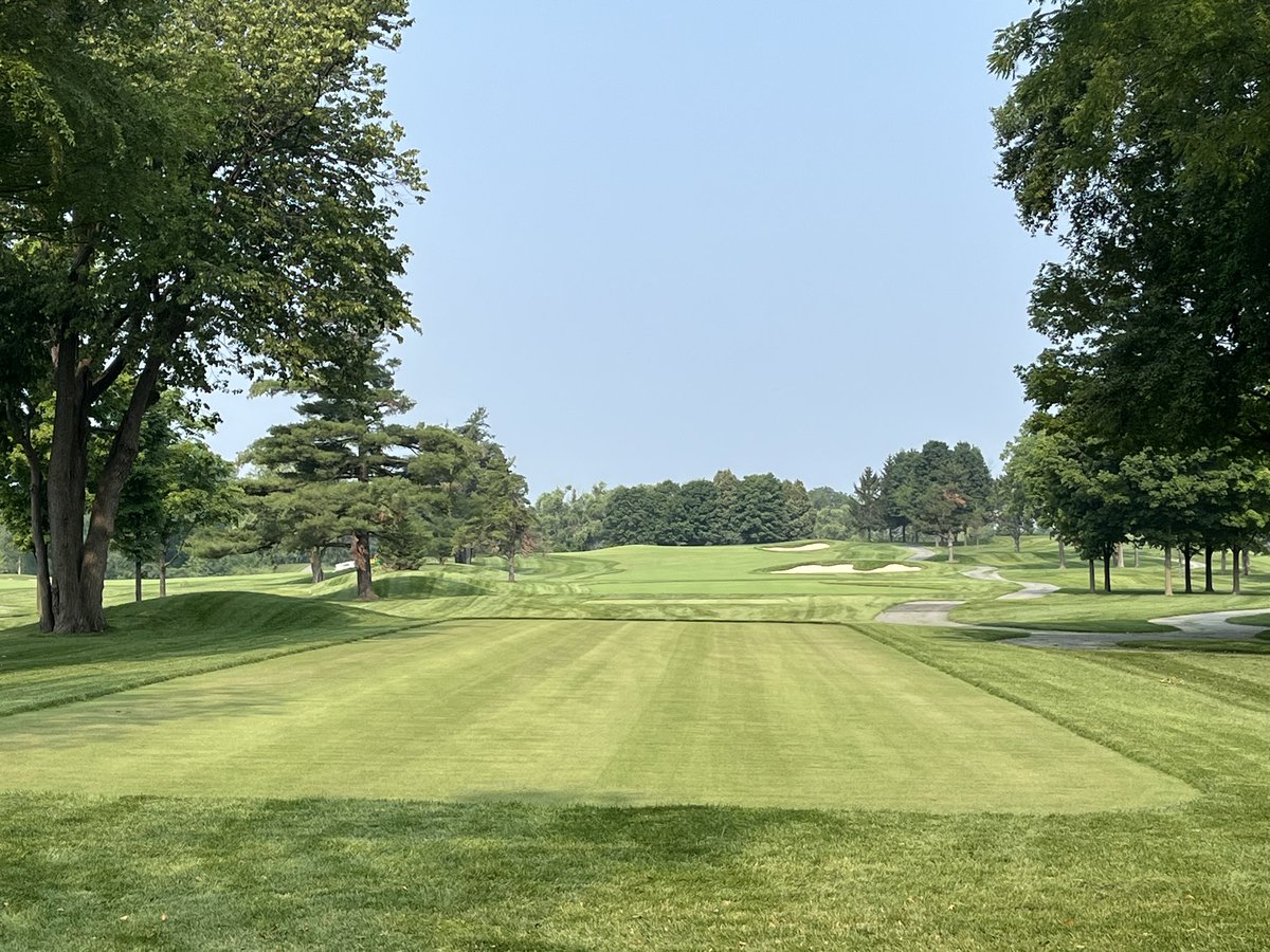 SDeBolt_DLFPS's tweet photo. Took a tour at The Inn at St John’s with @KevinPPeck and the place looks amazing. Kevin and crew are dialing in the 007XL greens, Dominator tees and fairways. DLF roughs and outer roughs are doing well. Add another member to the SuperBents Revolution #DLF #SeedResearch https://t.co/6lV870Jou2