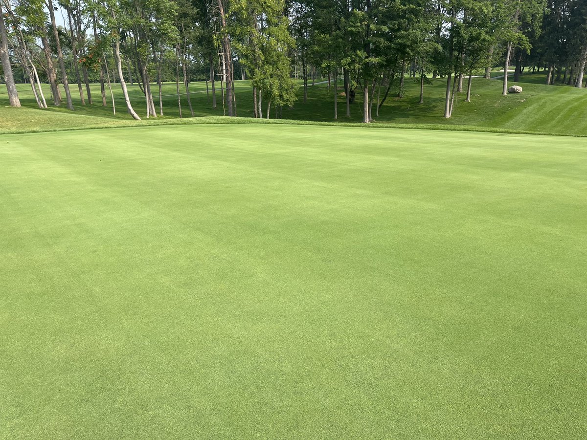 SDeBolt_DLFPS's tweet photo. Took a tour at The Inn at St John’s with @KevinPPeck and the place looks amazing. Kevin and crew are dialing in the 007XL greens, Dominator tees and fairways. DLF roughs and outer roughs are doing well. Add another member to the SuperBents Revolution #DLF #SeedResearch https://t.co/6lV870Jou2