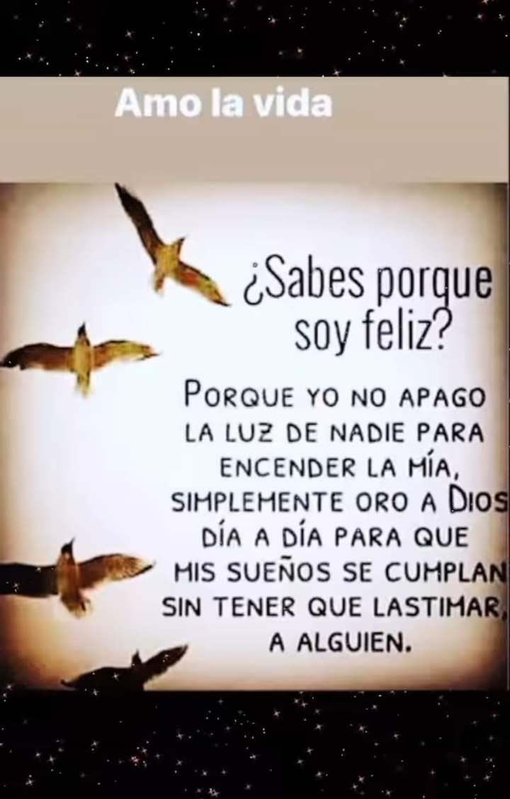 JosefinaCoralV's tweet photo. Buenas tardes https://t.co/XdwpMvnYIF