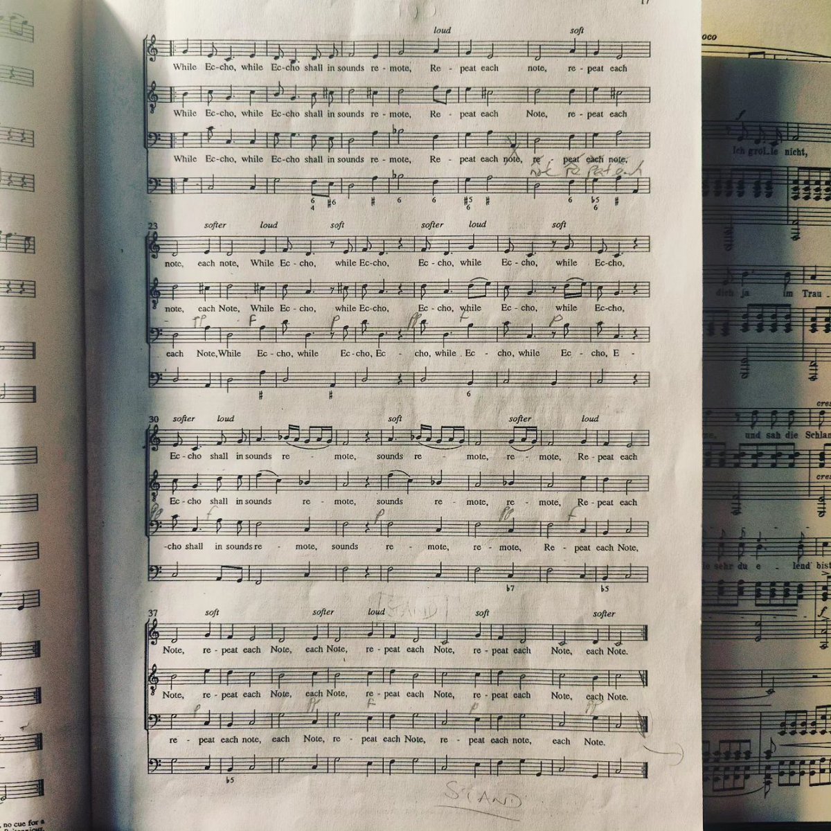 Michael Craddock tweet media