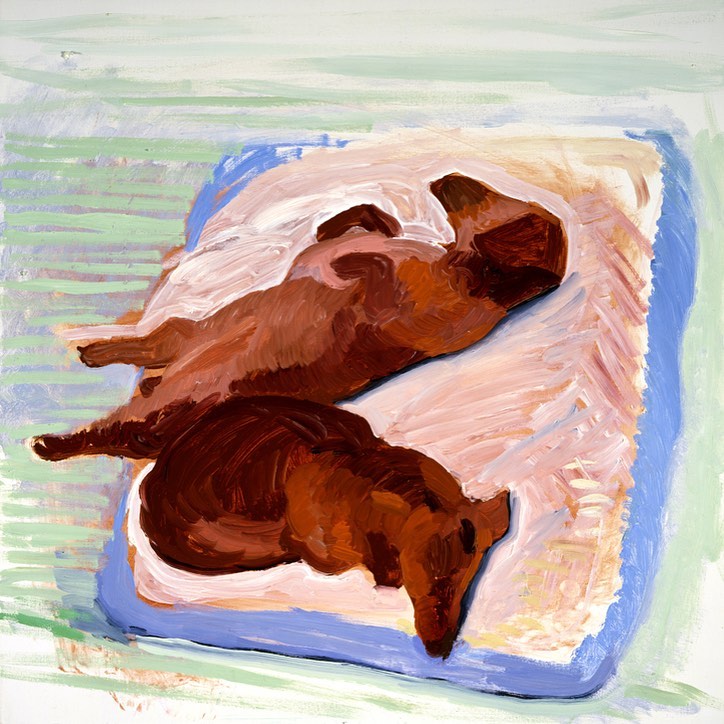 David Hockney and his portraits of his beloved dachshunds. Sausage dog supremacy! 🙌