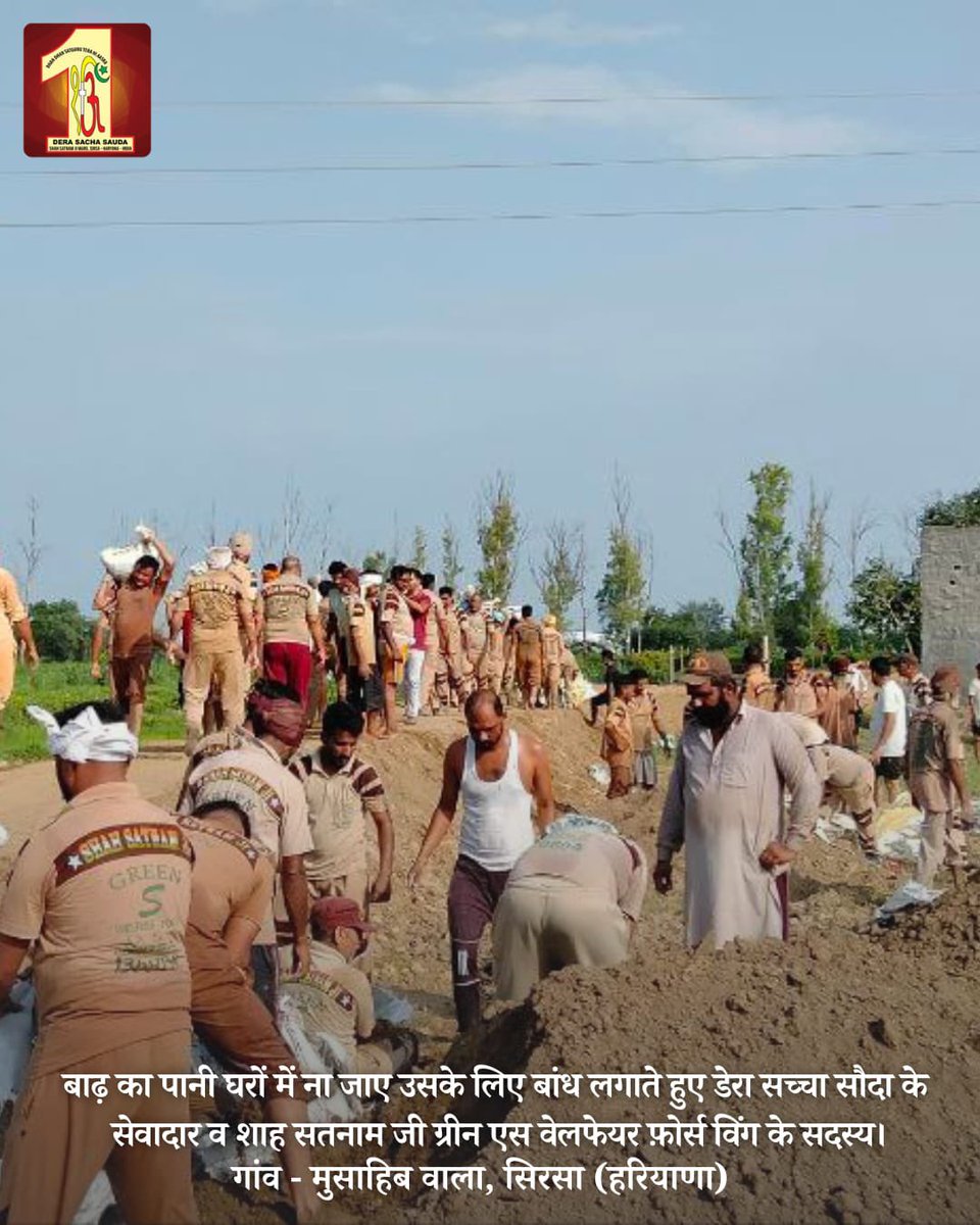 DSSNewsUpdates's tweet photo. With unwavering resolve, #derasachasauda volunteers stand as pillars of empathy, turning sorrow into hope, and lending strength to those in need. Displaying heroism, they are working tirelessly to construct embankments on breached river banks, so that no further damage occurs. Hats off to their bravery!  #SaintDrMSG #FloodRelief #RamRahim #Humanity