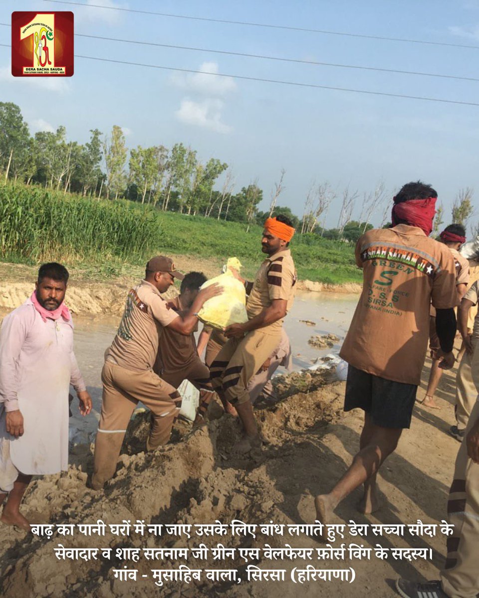 DSSNewsUpdates's tweet photo. With unwavering resolve, #derasachasauda volunteers stand as pillars of empathy, turning sorrow into hope, and lending strength to those in need. Displaying heroism, they are working tirelessly to construct embankments on breached river banks, so that no further damage occurs. Hats off to their bravery!  #SaintDrMSG #FloodRelief #RamRahim #Humanity
