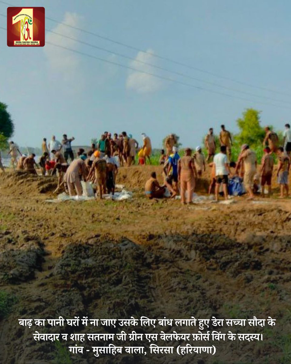 DSSNewsUpdates's tweet photo. With unwavering resolve, #derasachasauda volunteers stand as pillars of empathy, turning sorrow into hope, and lending strength to those in need. Displaying heroism, they are working tirelessly to construct embankments on breached river banks, so that no further damage occurs. Hats off to their bravery!  #SaintDrMSG #FloodRelief #RamRahim #Humanity