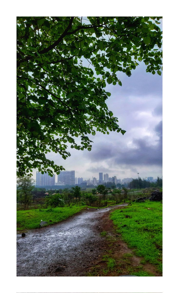 anaghafilmpr's tweet photo. Beauty and Peace ❤
#rain #NaturePhotography #natur #photooftheday #love #Peaceful #beautiful #GReeeeN 
@ThePhotoHour @ThePhotoMode @StormHour https://t.co/9Mqk0LG4Yy