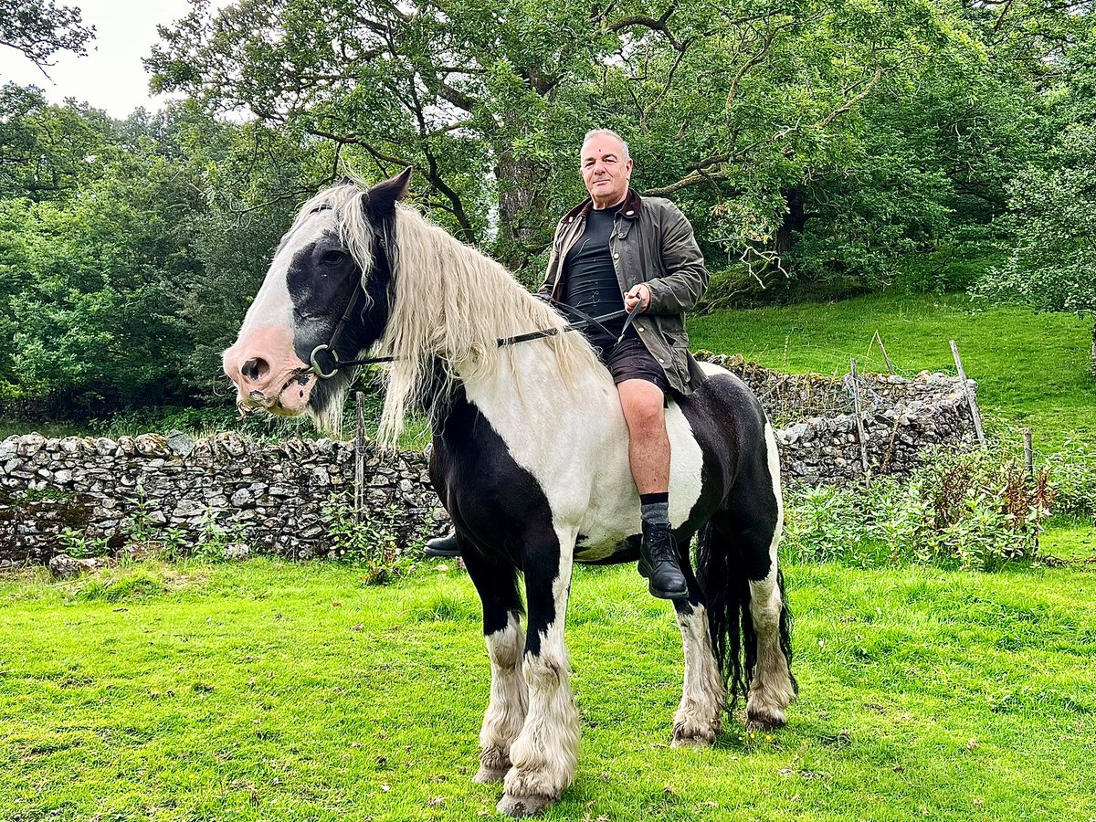 faerymere's tweet photo. #Monday evening relaxation…
#LakeDistrict #FeatherLeggedCob
#RomanyStyle #HackingOut
@ThePhotoHour @zoho___ https://t.co/RVxdUO6qZF