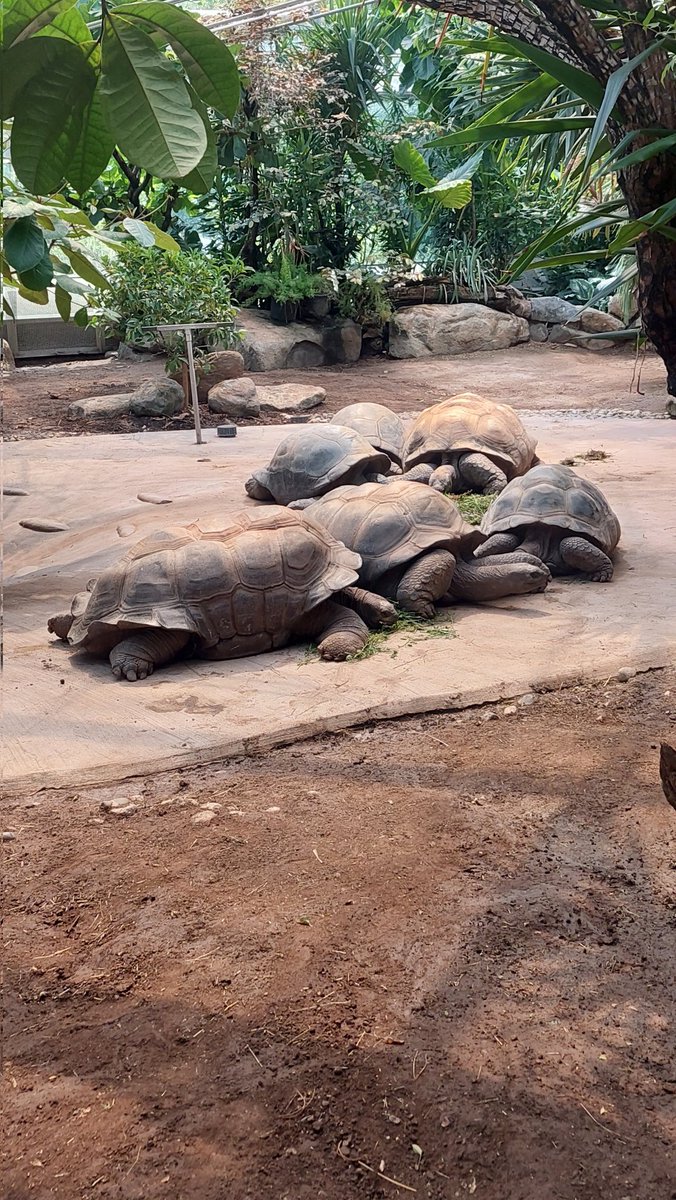 Kirchliche Veränderungsprozesse - Symbolbild
