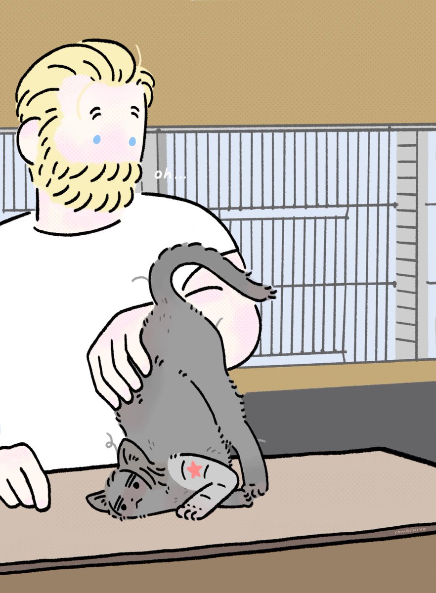 こなちよ 💖💛💙🏳️‍🌈 tweet media