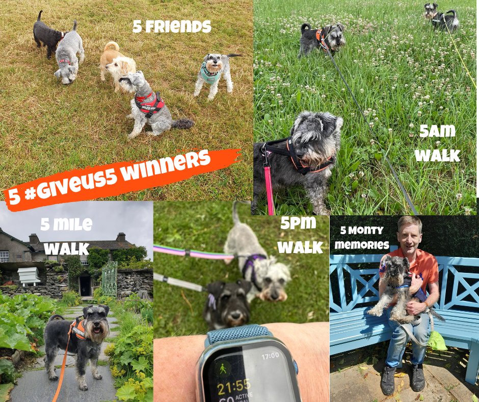 We had a fun weekend enjoying your #GiveUs5 photos. It was hard picking just 5 winners but they are:
📷 Martin and 5 friends
📷 Lazlo's 5 mile walk 
📷 Doma's 5am walk  
📷 Sharon's 5pm walk with Sebastian &amp; Meen
📷 Vanessa's 5 memories of Monty
We'll be in touch with winners.