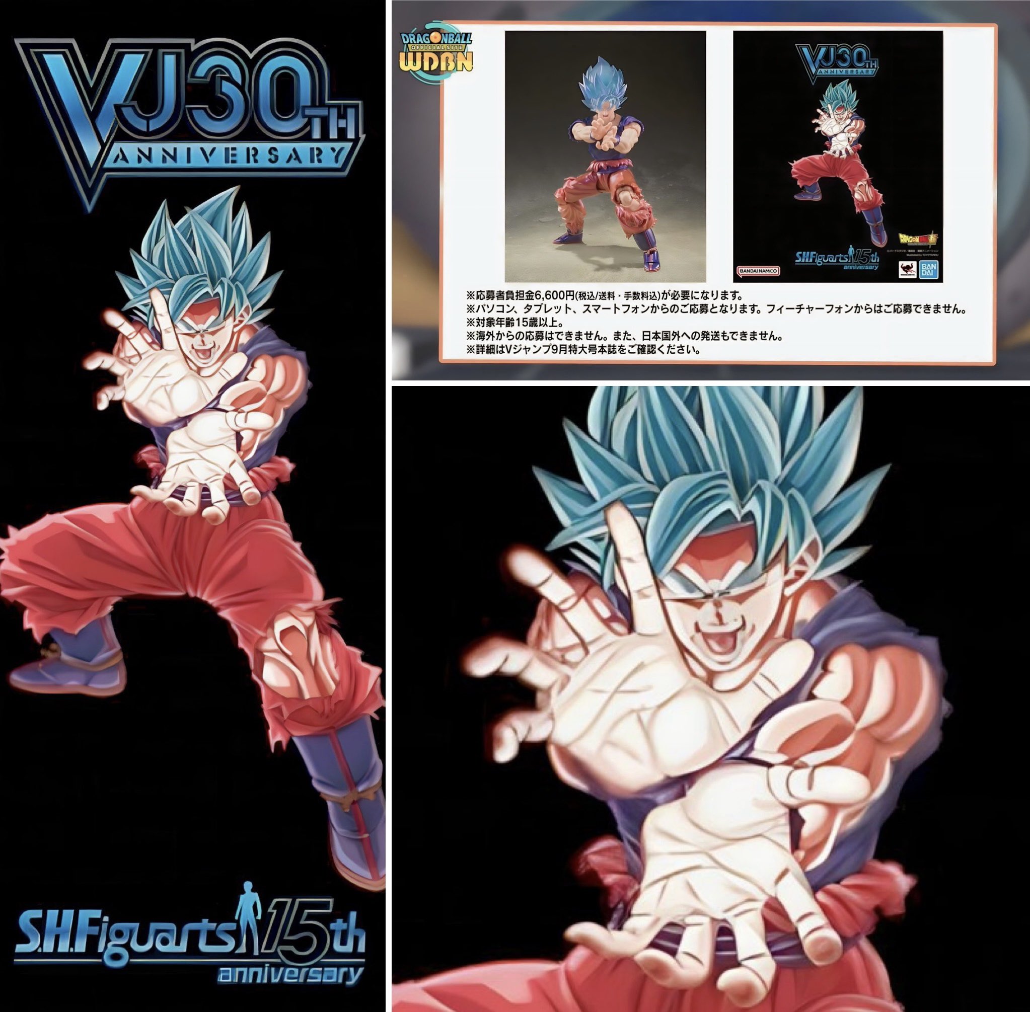 Hype on X: Super Saiyan Blue Goku Kaioken new illustration by