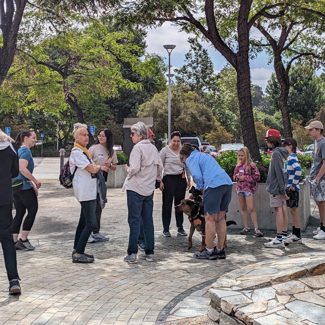 GrossmontHealth's tweet image. Here is what we&apos;ve been up to this past quarter in #EastCountySD☀️ We&apos;ve continued classes like Drums Alive &amp;amp; #WalkWithADoc, @guhsdhealth students graduated from the HESI program &amp;amp; we toured @SanYsidroHealth, Volunteers in Medicine, @CCS_SD &amp;amp; @SMSophiesCenter #EastCountyHealth