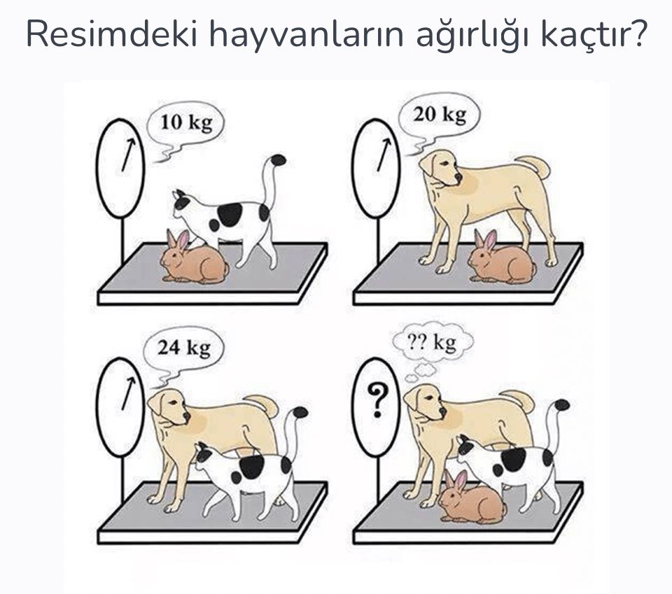 Baykuş 🦅 tweet media