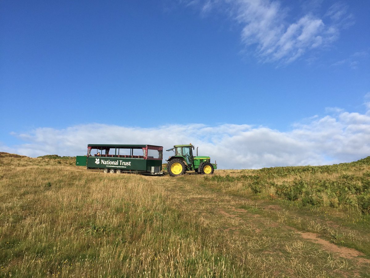 Woolacombe TIC tweet media
