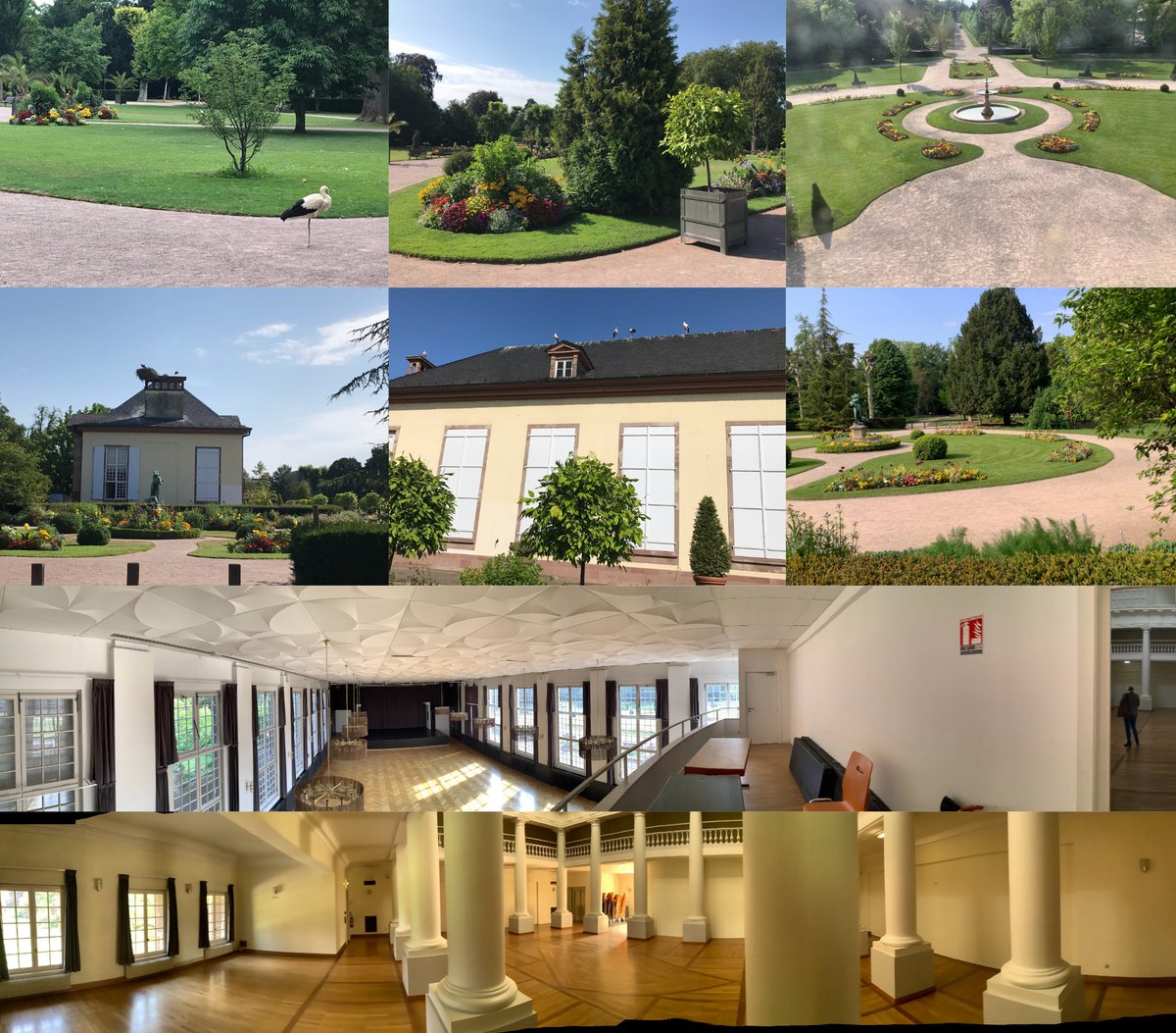 Today active preparation for the next <a href="/SP8_Strasbourg/">SP8 - 2023 in Strasbourg, France</a> conference in #Strasbourg - the storks of the #orangerie park are already waiting for you ! Do not disappoint them and join us 😀 
late poster and registration still possible on sp8.unistra.fr