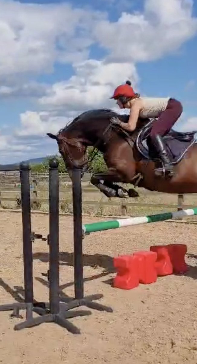 Stolen <a href="/AlwaysHorsing/">Caroline Jones</a> dressage pony while she is away for a little jump. Good practice for me to ride in the Pelham that I've been trying on Leo and Lucha loved it!! She makes a fab shape 😍