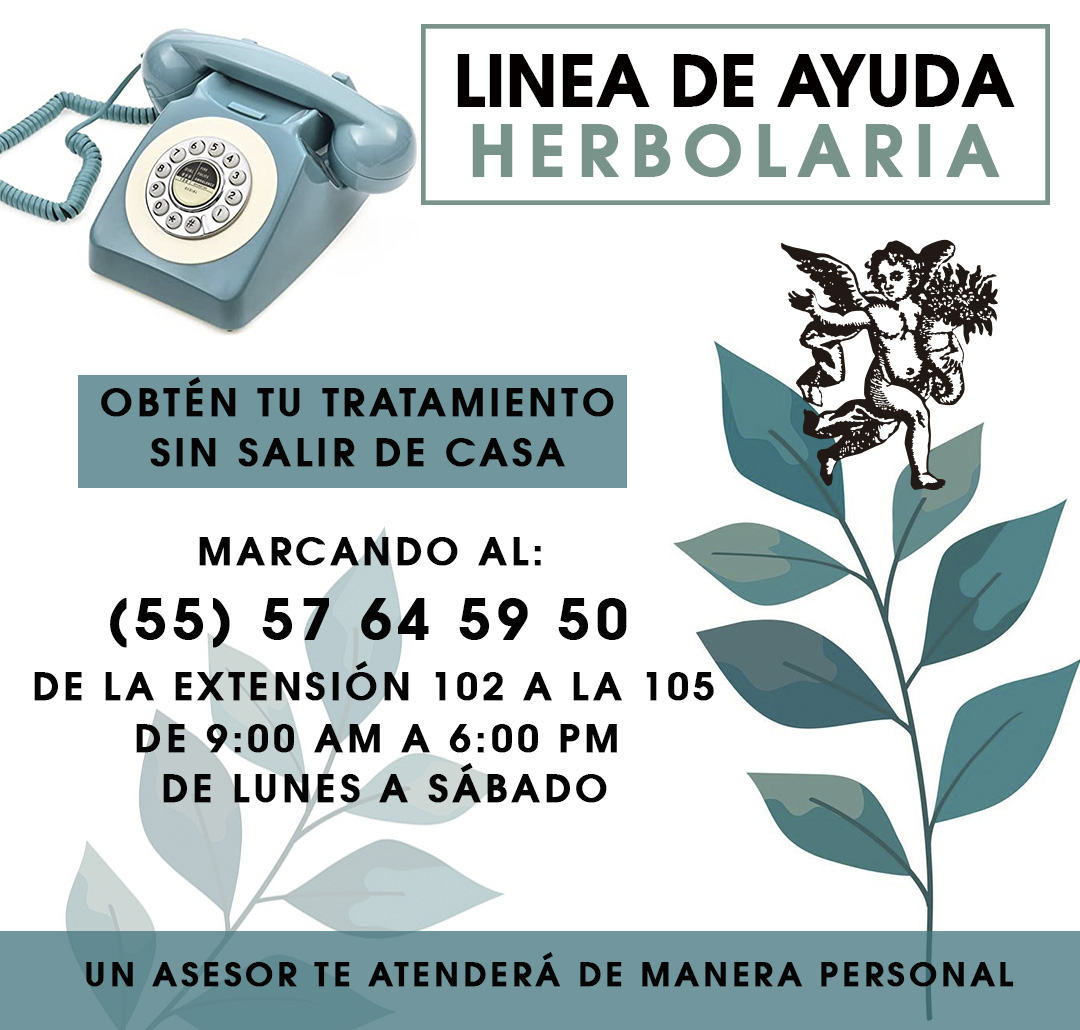 Lavoz_delangel's tweet photo. ¡Atención Personalizada! 🤔
Directamente de un 🍃Asesor Herbolario 🍃
Vía ☎️ de 9:00 a 6:30 de la tarde.
Sin salir de 🏠 y hacemos llegar tu 🍃 tratamiento a la puerta de tu hogar.
#HojasRaicesyTallos #ViaTelefonica #herbolaria #Herbolario #PlantasMedicinales #Ayuda https://t.co/jvsMAXXYYr