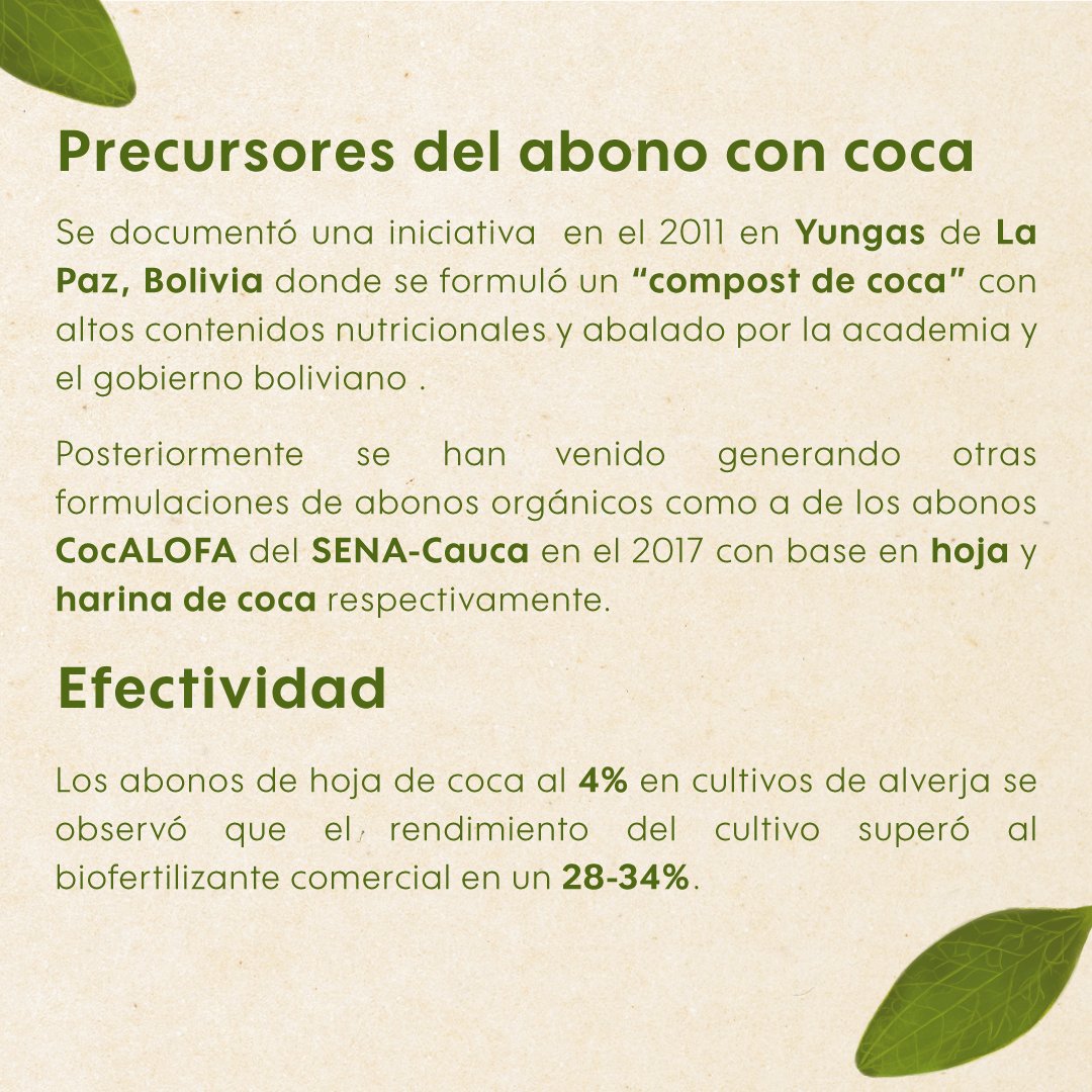 Conoce sobre el abono con coca 🍃🍃🍃
#organic #Hojadecoca #Abono #campo