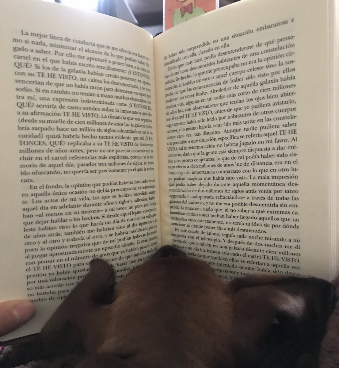 IsisKiwen's tweet photo. Mythos contains truth in the psyche of mankind, therefore, creating meaning and purpose.  When mythos diminishes, lack of meaning arises to the point of becoming a social state of mind.  This is why, unfortunately, Hitler could sway people: for his surpass of the use of mythos. https://t.co/YfuGwHoFcK