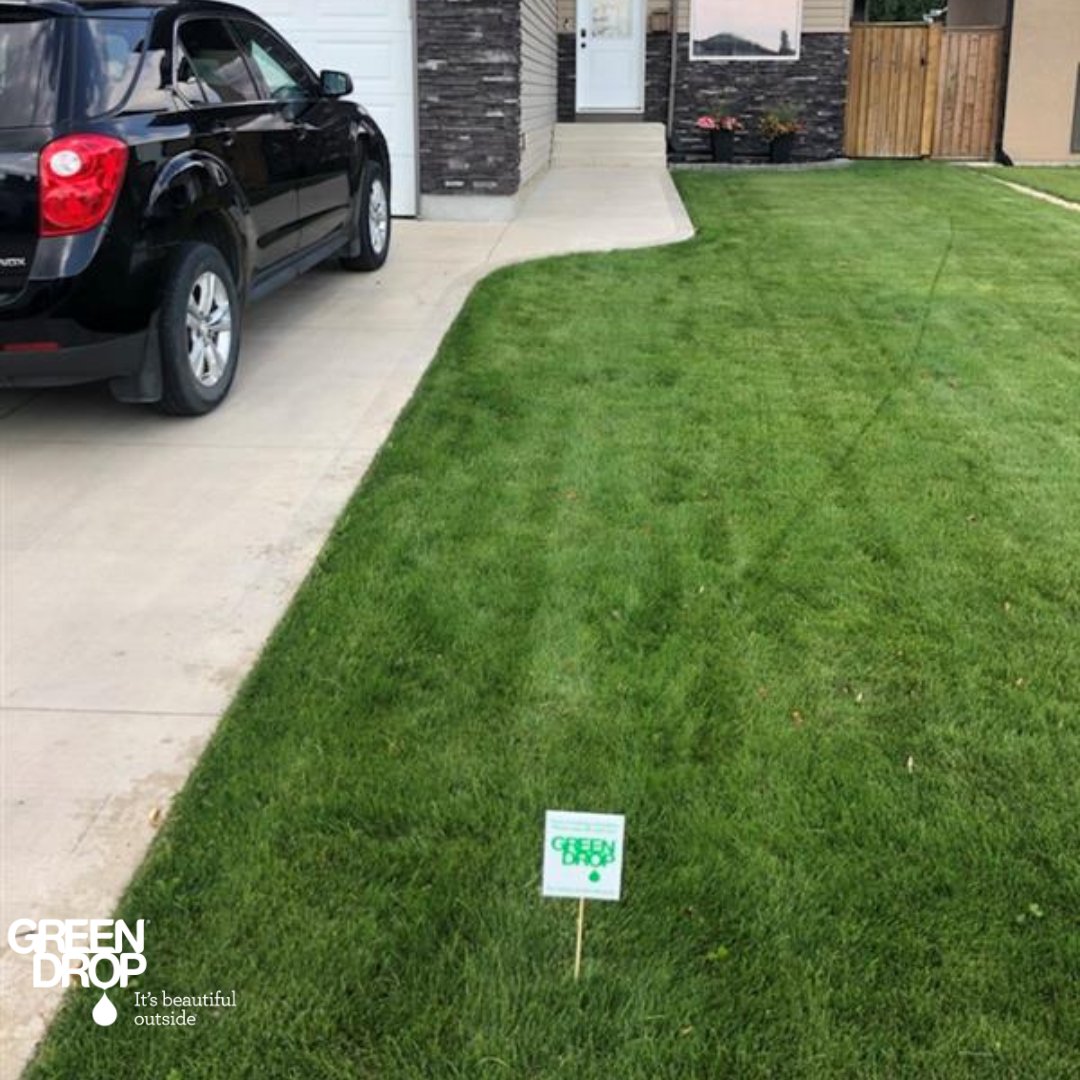 Green Drop tweet media