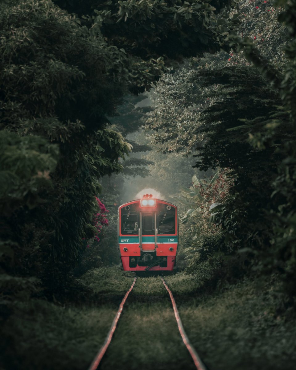 A World where nature and machinery harmoniously coexist.

Shot using <a href="/SonyAlpha/">Sony | Alpha</a>  a7r4 / 100-400 GM

<a href="/AmazingThailand/">AmazingThailand</a> 

#Thailand #beautifuldestinations #SonyAlpha