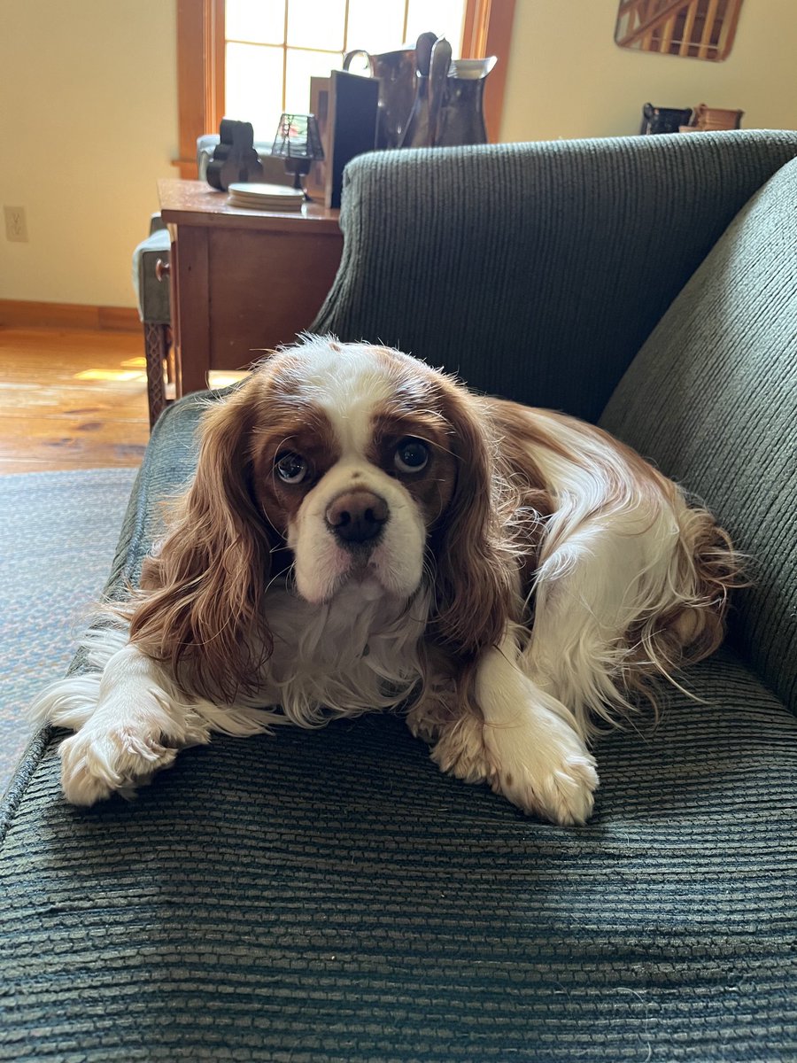 Melissa Ostrom tweet media