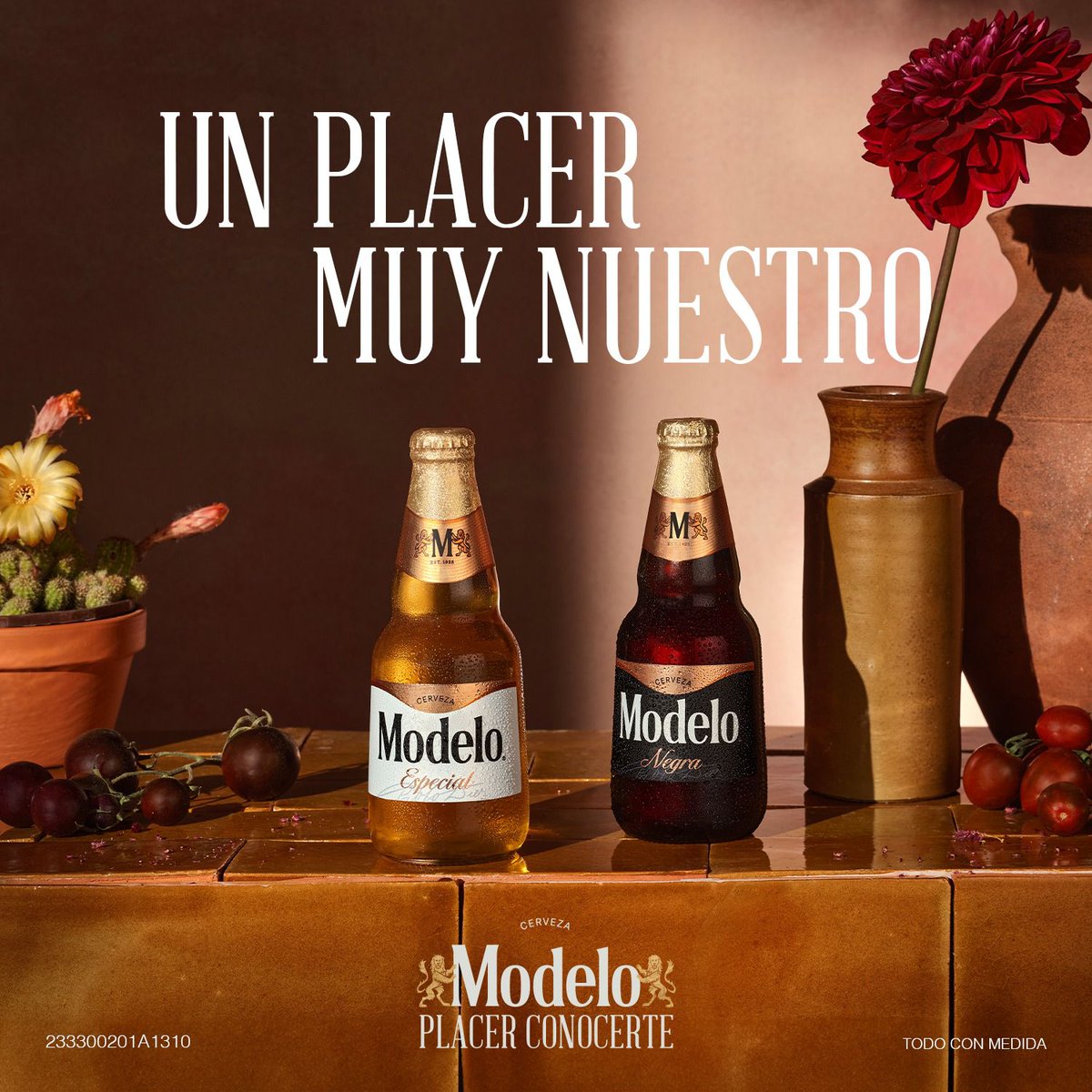 Rhevolver's tweet photo. Las comidas familiares en domingo con la carne en el asador y unas Negras Modelo son sin duda #UnPlacerMuyNuestro https://t.co/XR1pwmNQsl