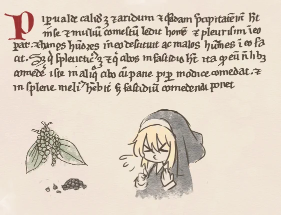 16 DE PIPER 胡椒は高い熱と乾の性質を持つ。 食欲を増進させるが食べ過ぎると害をもたらす。  現代では香辛料の王様として知名度が高いが、『自然学』で割かれるページはとても少ない。 中世の胡椒価格やら希少具合は時期や地域で諸説あるけど……ヒルデガルトにはあまり身近じゃなかったのかな?