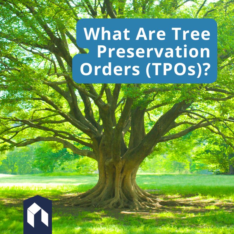PlanningHBook's tweet image. Tree preservation orders (TPOs) are employed by local authorities to safeguard specific trees located on private property within their jurisdiction.

A TPO is issued to the landowner, explaining the decision. The landowner can provide their input on the matter. #treepreservation