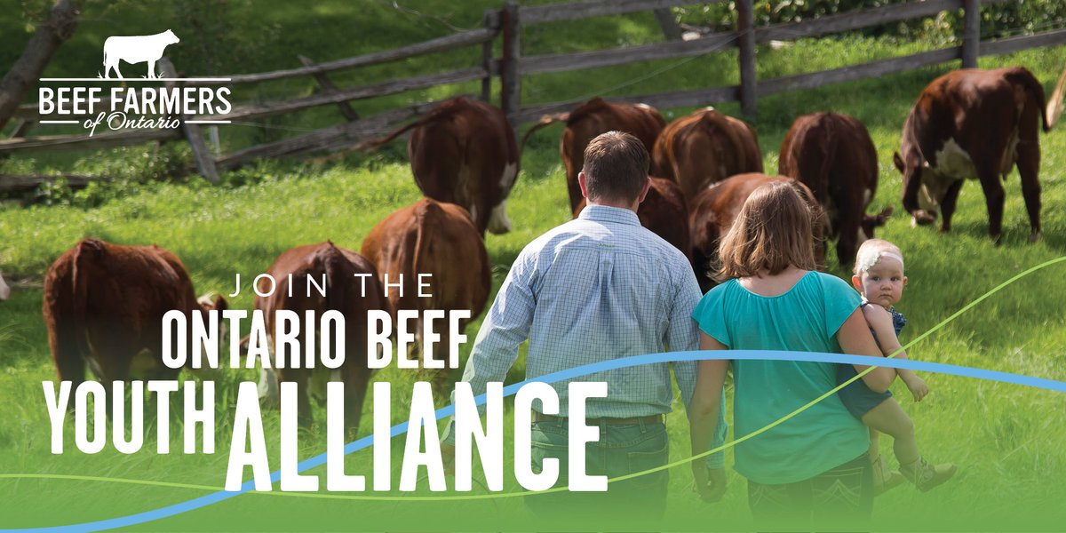 BeefFarmersON's tweet photo. Between the ages of 18 and 35 and have an interest in the ON beef sector? Join over 200 individuals (and growing!) as a member of the #OBYA! Subscribe to become a member here (it's quick and free!) and learn about membership benefits: https://t.co/8cWOoJNKq9 https://t.co/3vQiIUP0fe