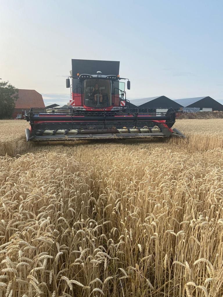 Combine upgrade, we kunnen weer 20 jaar vooruit. MF 7382 centora.