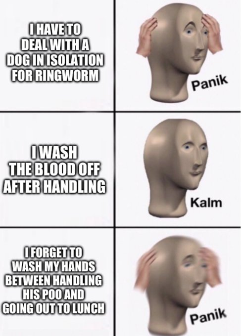 Context: there&rsquo;s 40 of them and I&rsquo;d been working for 4 hours doing labor in 90 degree weather. I&rsquo;m tiiired<a href="/tag/nsfwtwt"class="tags"><span>#nsfwtwt</span></a>