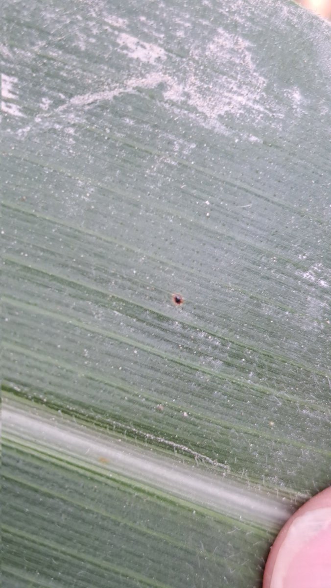 Richard Anderson tweet media