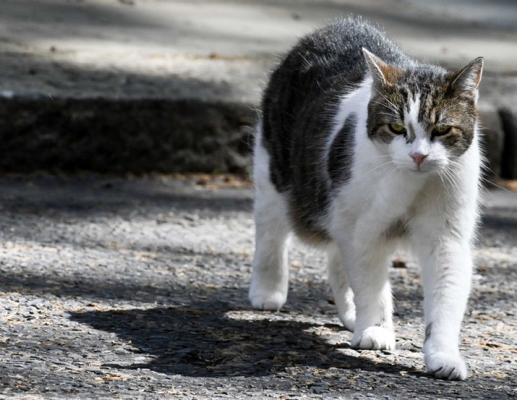 Nobody puts me in the shade…
(Photo <a href="/PoliticalPics/">PoliticalPics</a>)