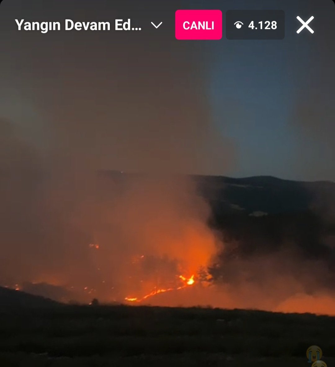 MerveArcan11's tweet photo. Hala devam ediyor. Yardım edin sesimizi duyurmaya. Paylaşın lütfen görsünler bir şey yapsınlar #Çanakkale 

@RTErdogan @TC_icisleri https://t.co/I0Z9TTHp4y