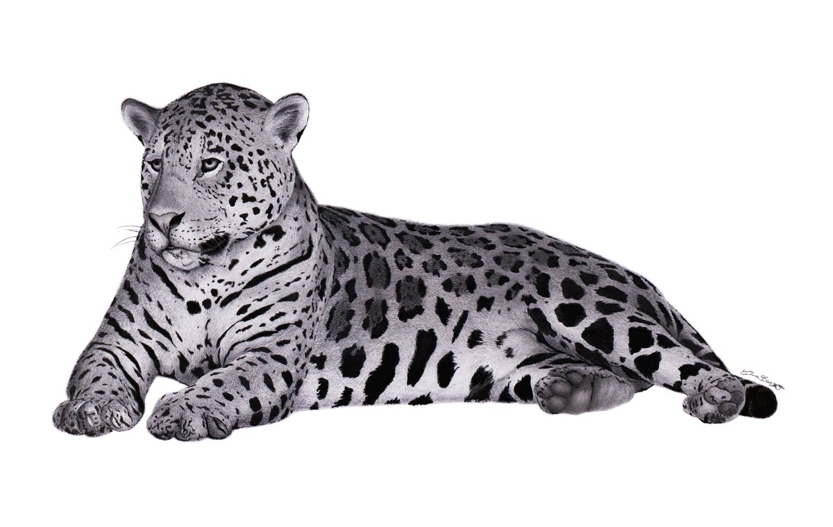 Rocio Bardales tweet media