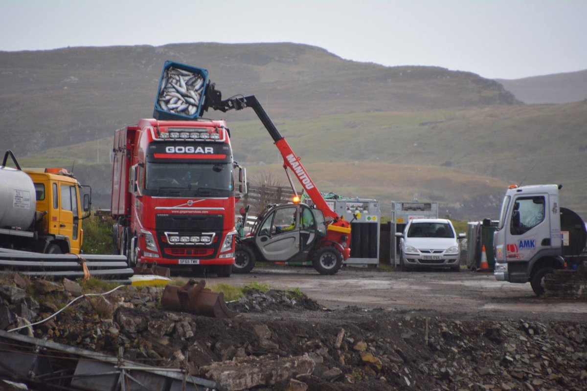 Salmon farming: “bringing much needed jobs to fragile rural communities and rewarding careers for the wider supply chain”. At least 3 different companies at work here. Filling lorries with thousands of dead salmon, daily. @MairiMcAllan @ScottishEPA