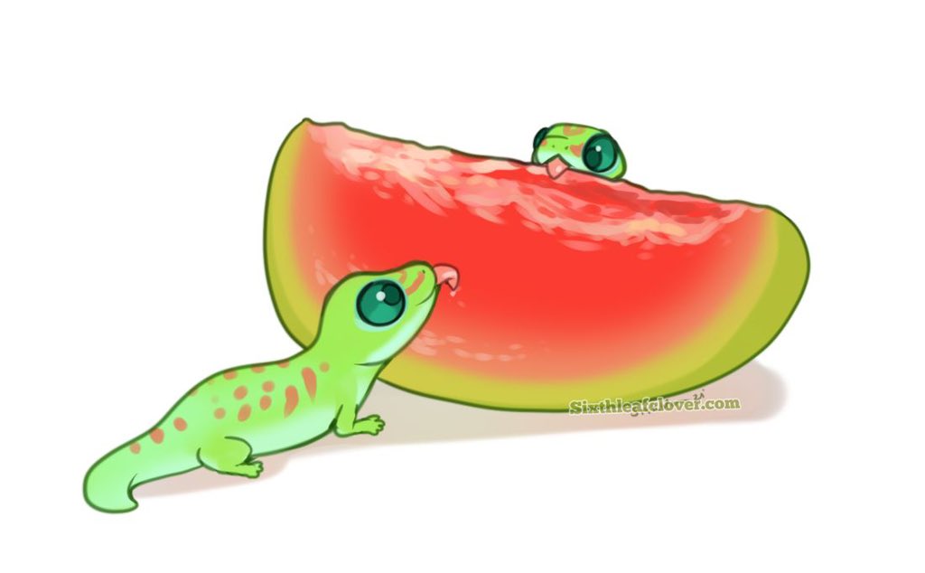 sixthleafclover's tweet photo. How do you keep cool on a hot day? 🍉🦎 https://t.co/WbFQ1f4qJd