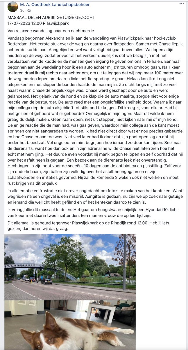 Wat?!? Wat ben je dan voor achterlijke zak als je dit doet!
Getuige gezocht van gebeurtenis die vanmiddag rond 12 uur ter hoogte van het Plaswijckpark plaatsvond. Even foto openklappen voor gegevens melder. #Rotterdam #dtv #Ringdijk #Plaswijckpark