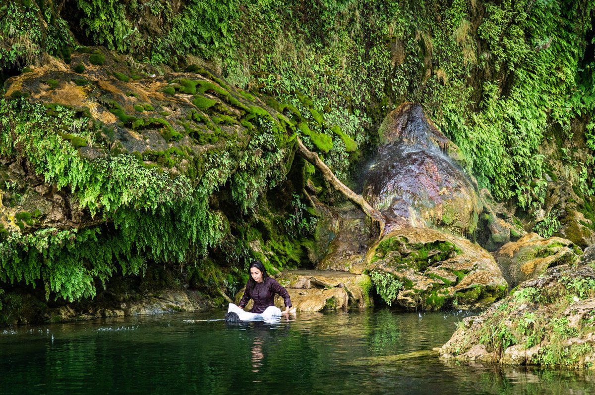 Corinth Films tweet media