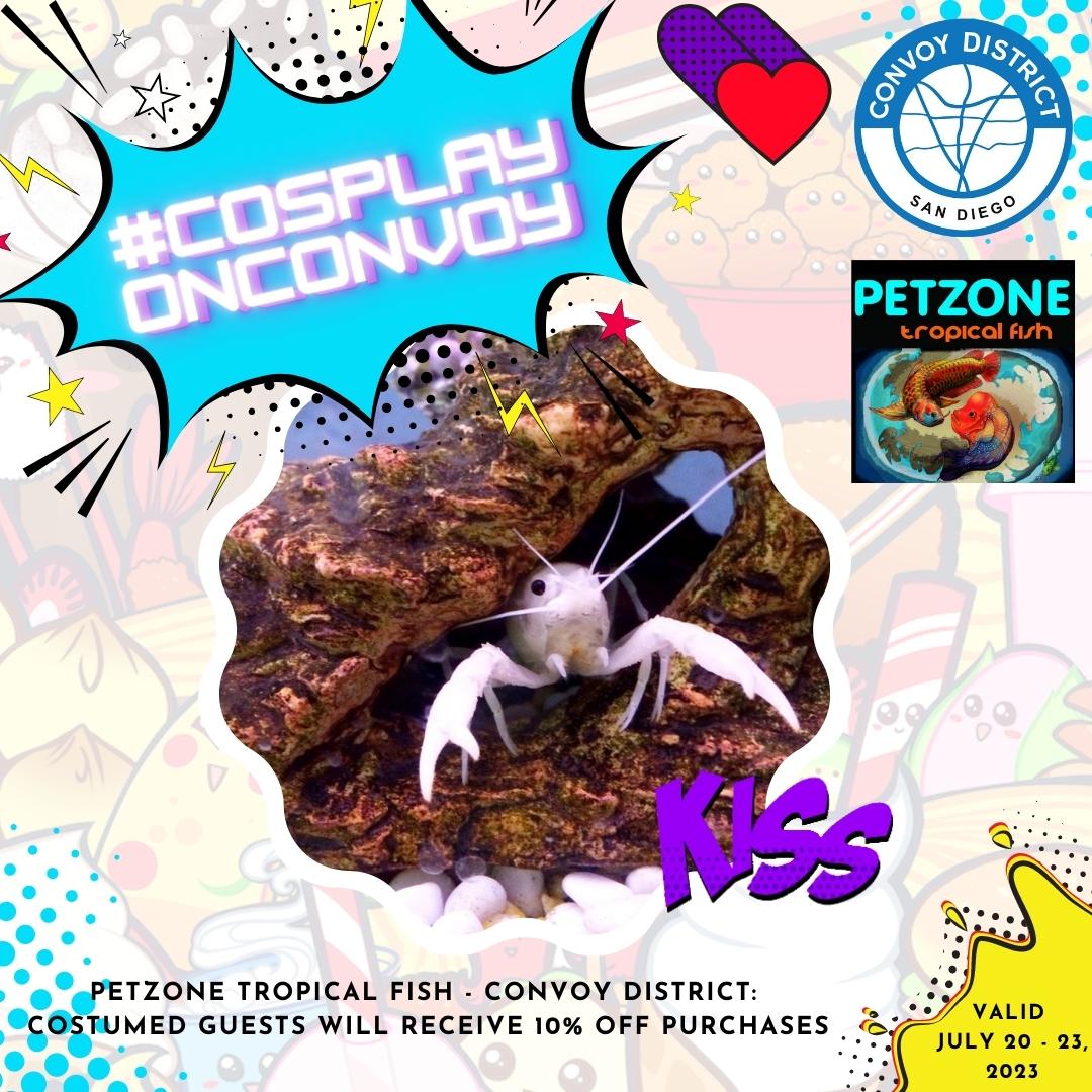 ConvoyDistrict's tweet photo. Costumed guests can also enjoy specials from participating businesses! Please check the @convoydistrict page for updates. 🎉 https://t.co/5W5e5NNuPs