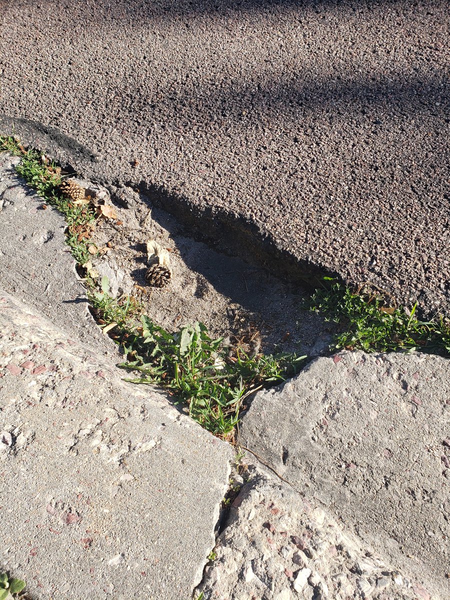 CourtShortney's tweet photo. Hey @ColoradoDOT does this look completed???? https://t.co/OkjZje9eVX