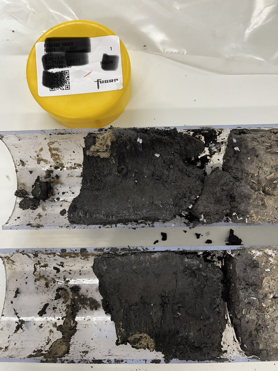 Really enjoyed a day out away from the shoffice today, assessing multiple offshore vibrocores for @MSDSMarine at Fugro offices in Wallingford. Shame the majority appeared to be homogenous submarine sands! But we had one nice bit of peaty goodness, albeit at the top of the core 🤣