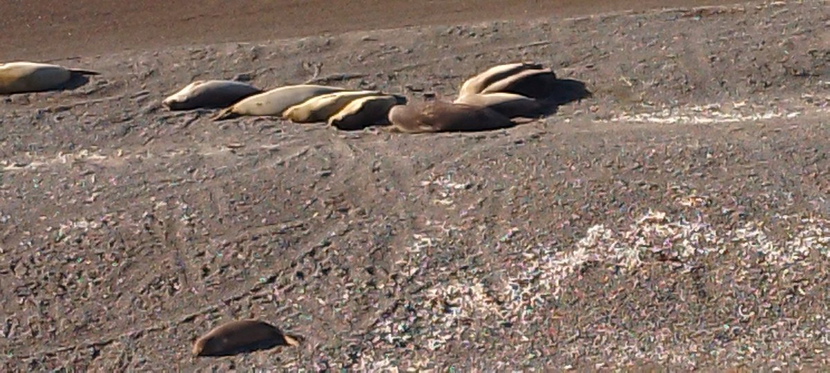 marcosbel1980's tweet image. Que lindo es argentina.😍😍😍

#punta cantor