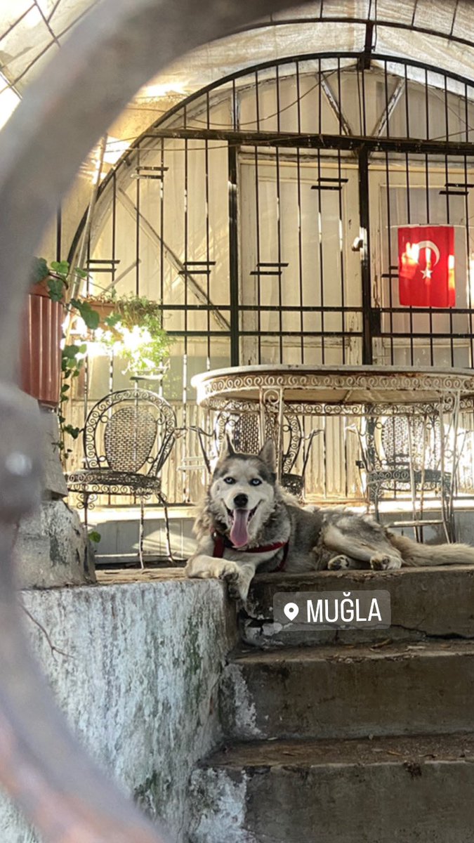 Memleketimin her şeyi mi güzel olur #Muğla 🇹🇷🧿🇹🇷