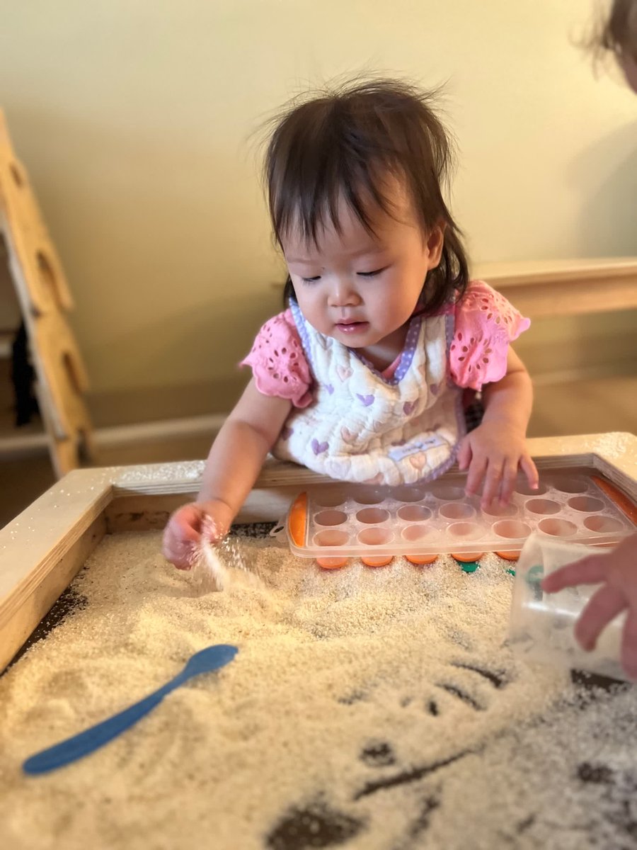 VMPPolaris's tweet image. Working on pouring and scooping dry goods! 

#montessori #practicallife #pouringandscooping #infant #polaris